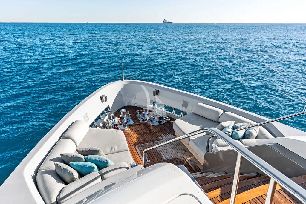 Luxury Crewed Motor Yacht ACE photo 6