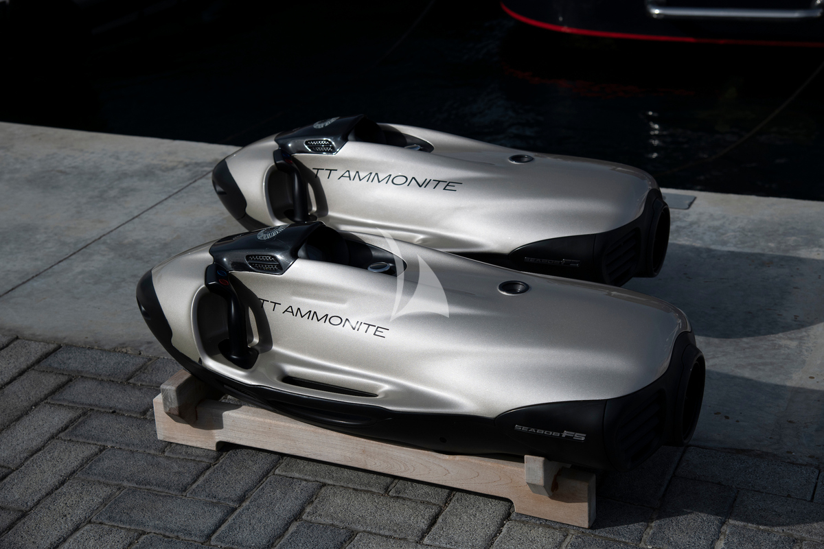 Luxury Crewed Motor Yacht AMMONITE photo 4