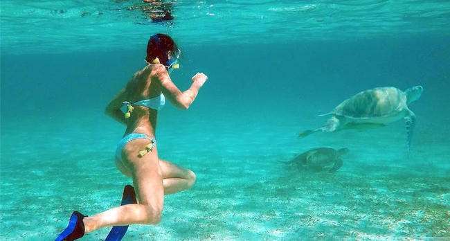 Bareboat Motor Yacht Bayliner 35 photo 6