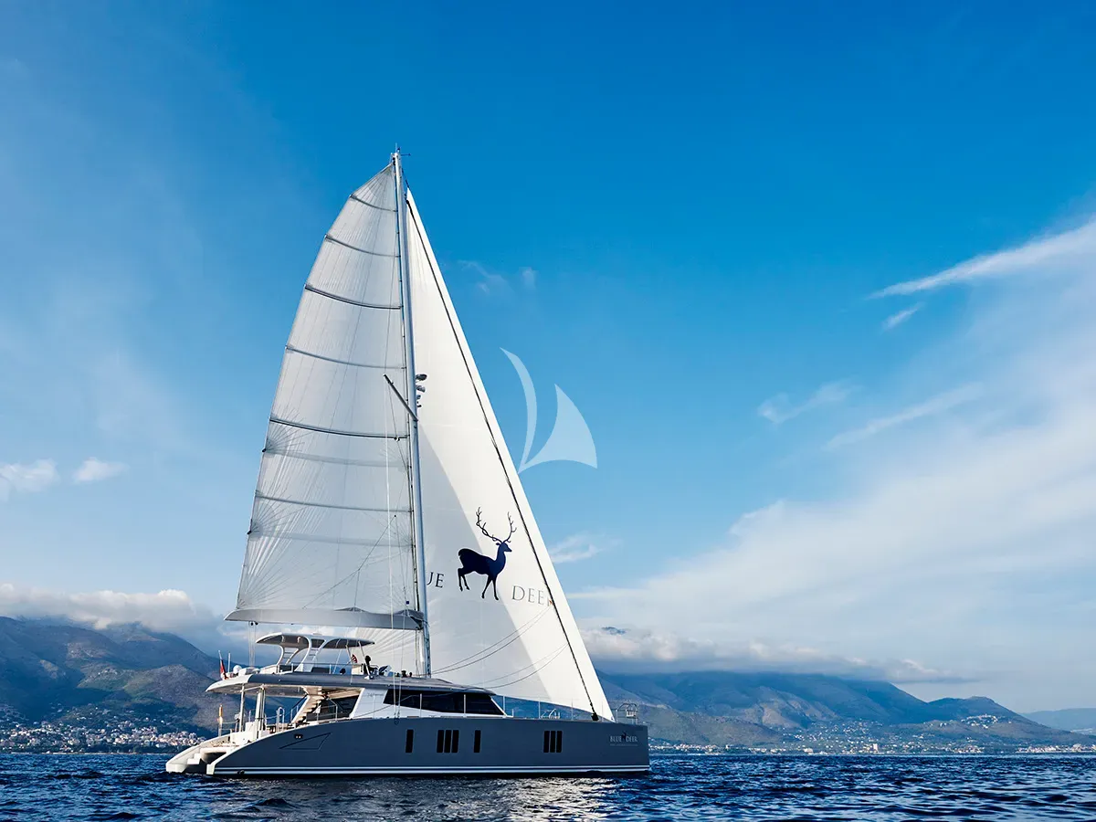 Luxury Crewed Catamaran BLUE DEER photo 3
