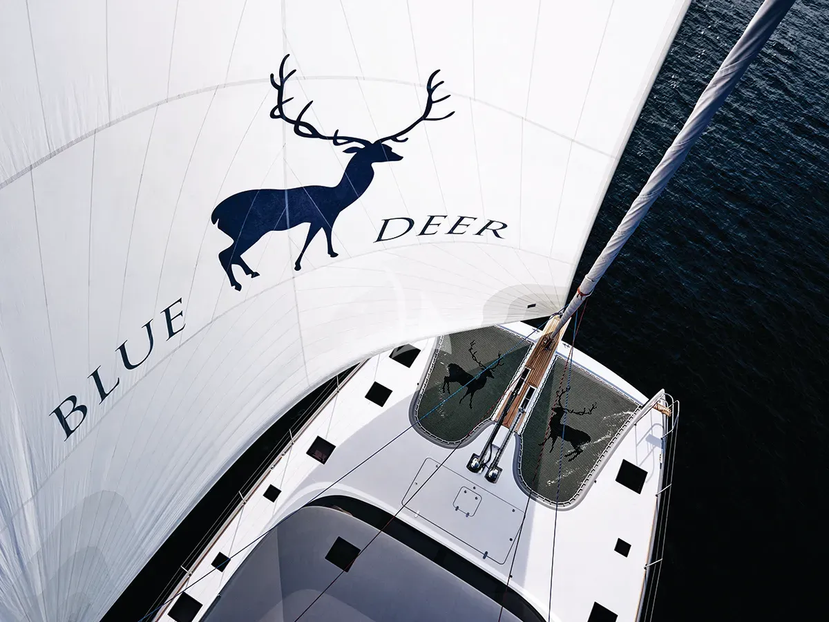 Luxury Crewed Catamaran BLUE DEER photo 6