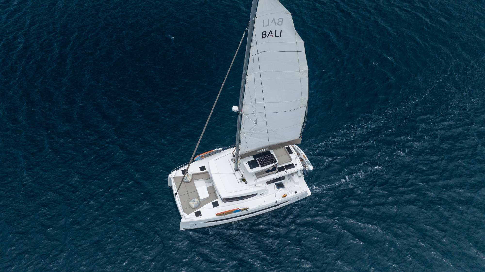 Crewed Catamaran BLUE HORIZON photo 5