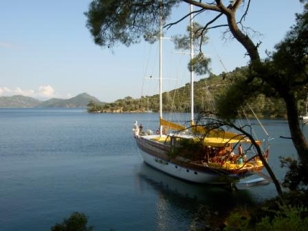 Gulet EAST MEETS WEST photo 6