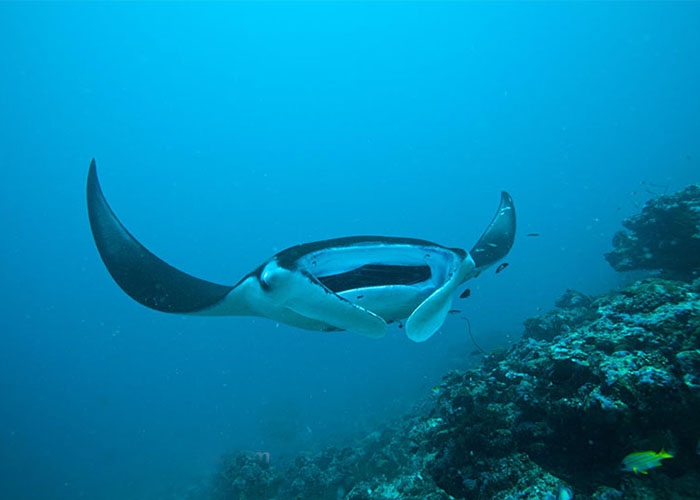 Luxury Crewed Motor Yacht HONORS LEGACY photo 8