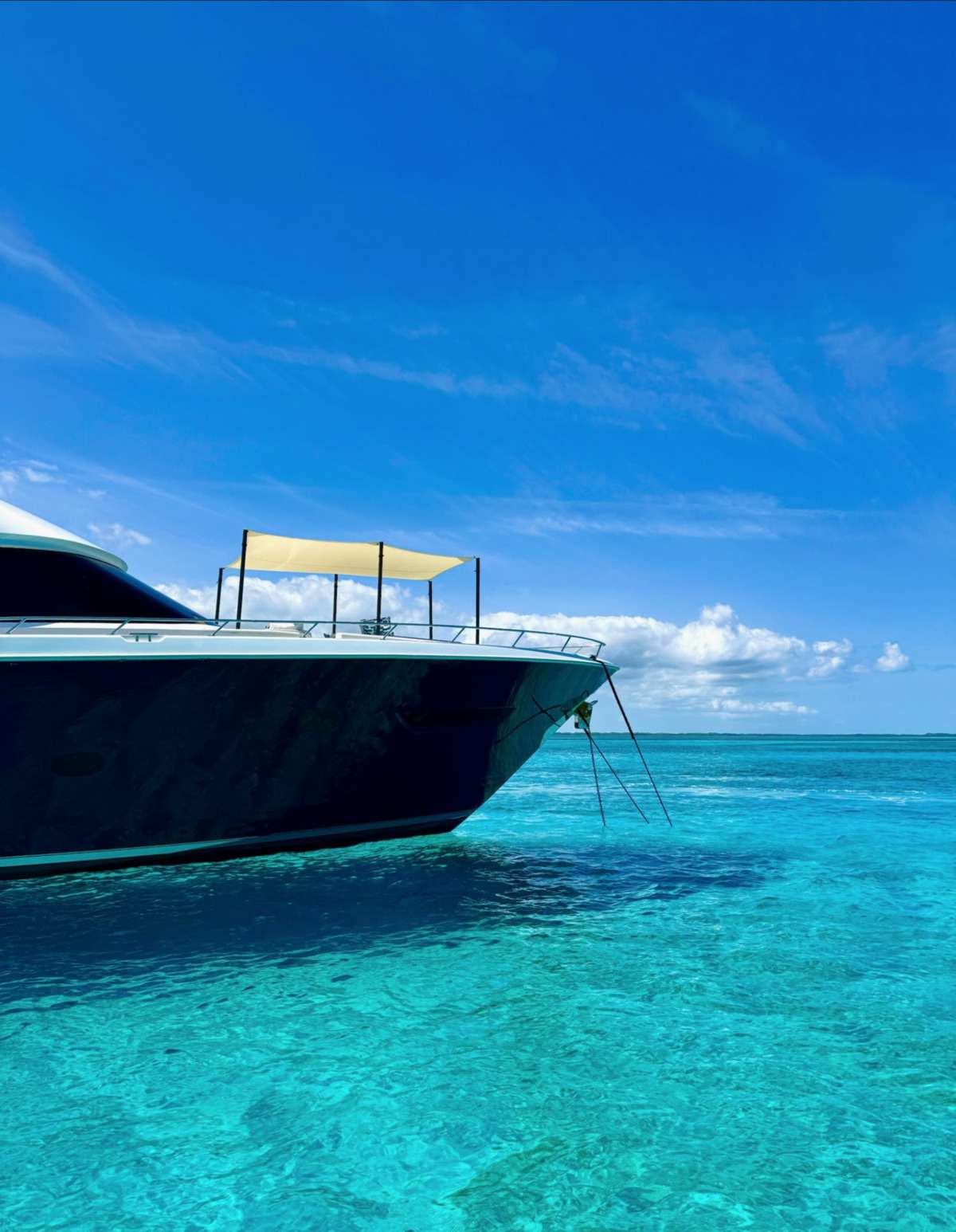 Crewed Motor Yacht INDIGO photo 3