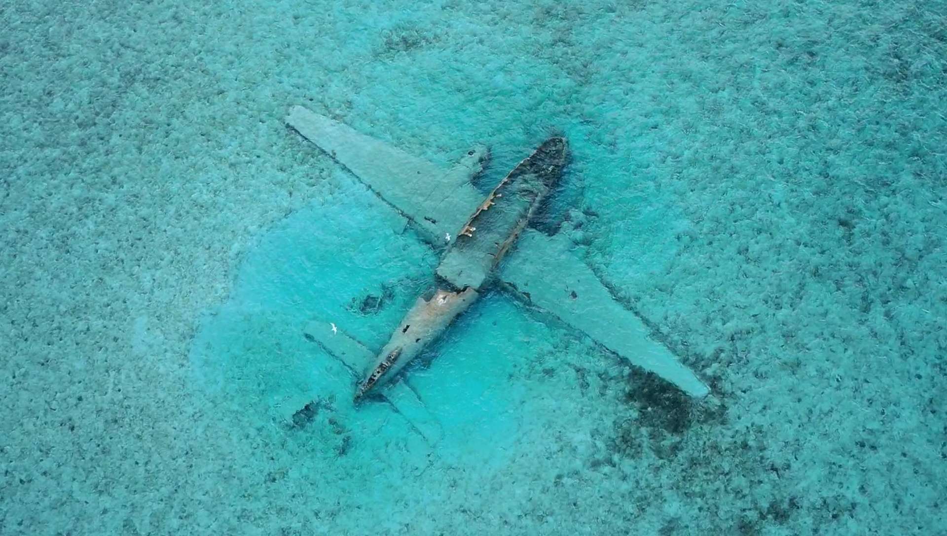 Crewed Catamaran INTERLUDE photo 5