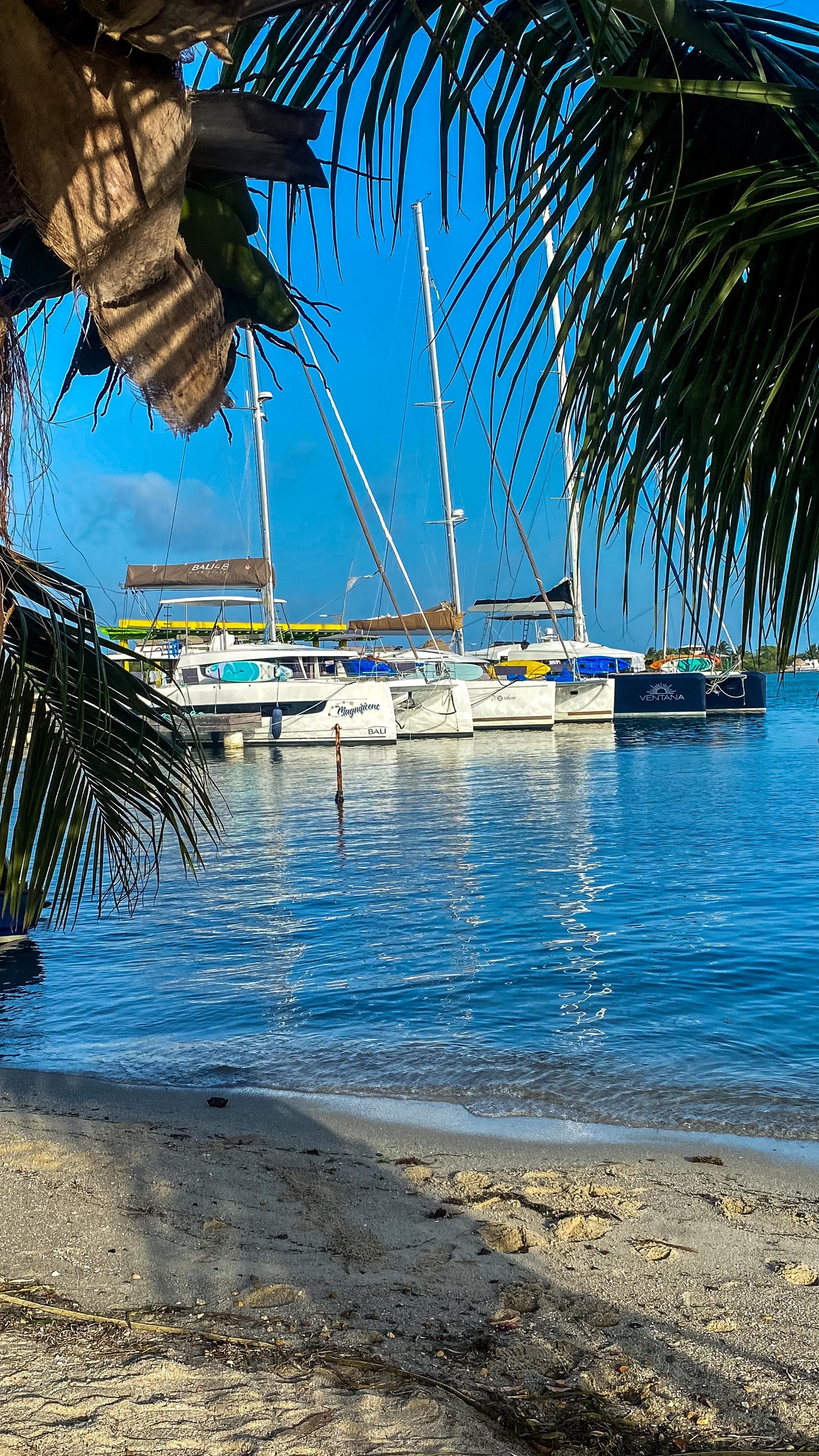 Crewed Catamaran MAGNIFICENT photo 4