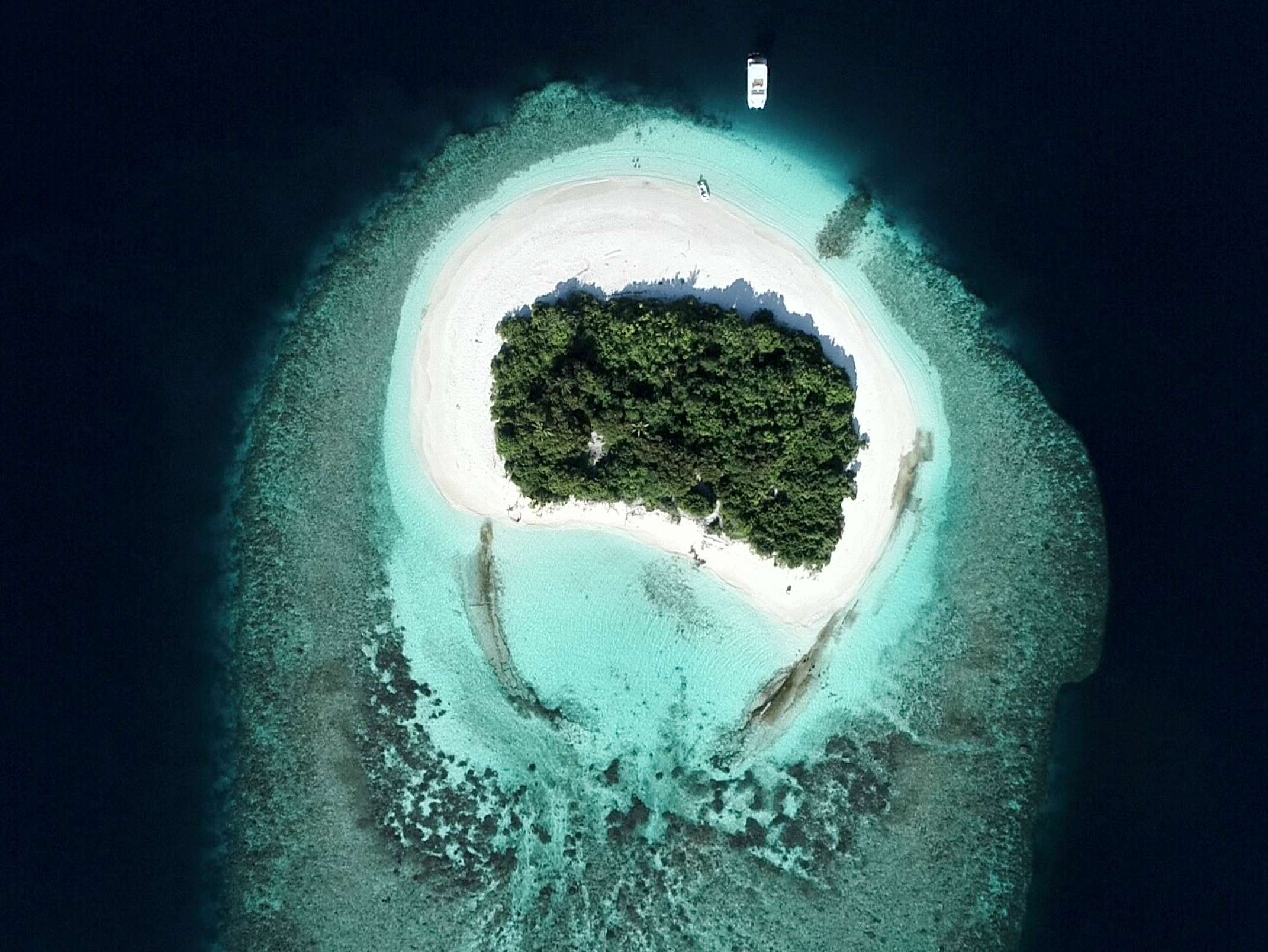 Crewed Power Catamaran OVER REEF photo 5