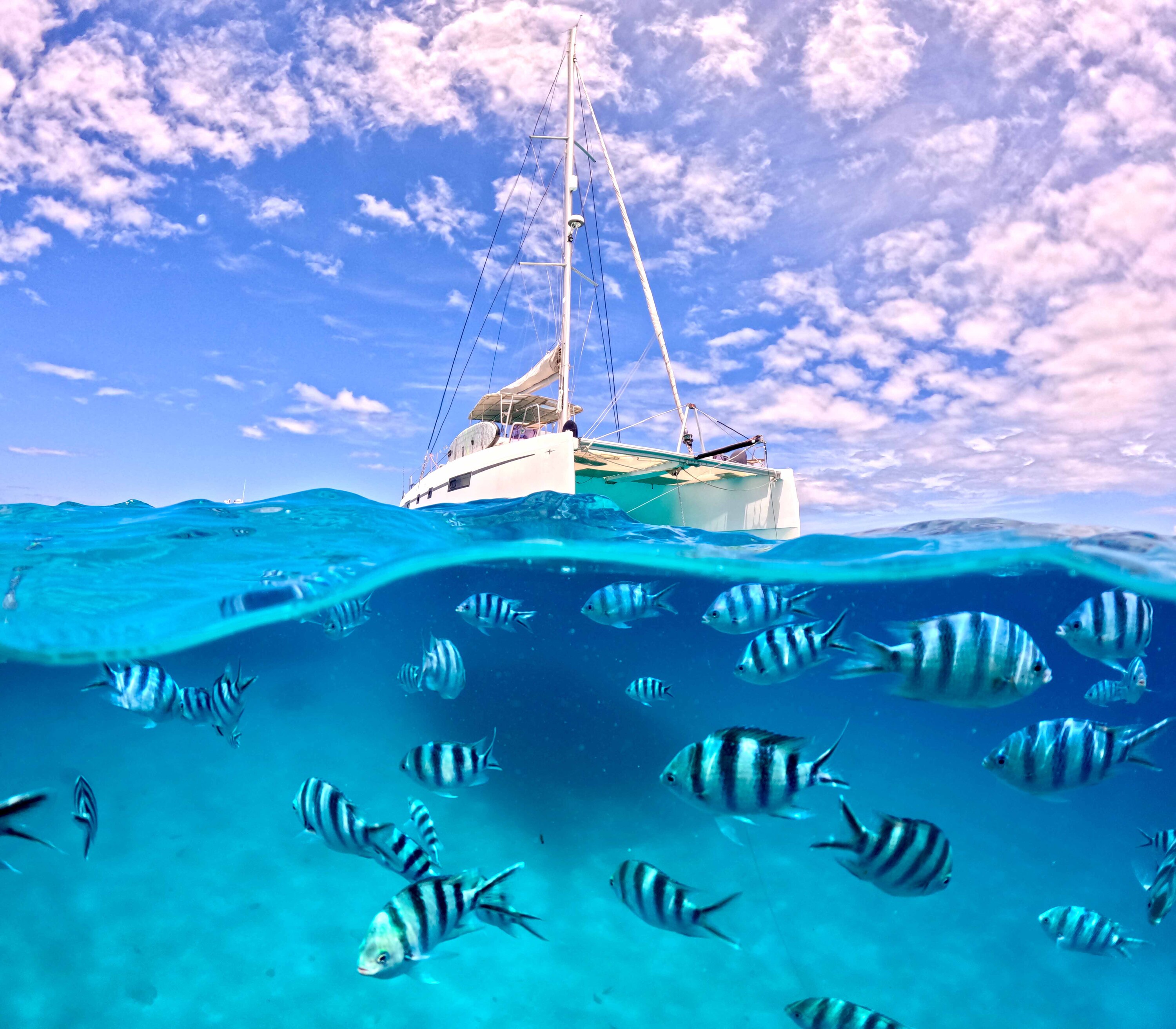 Crewed Catamaran PAPILLON photo 4