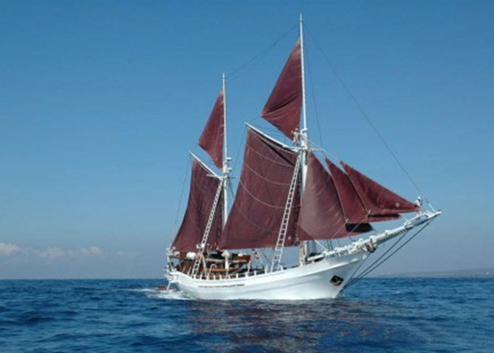 Luxury Crewed Sailing Yacht Phinisi 40 KAT