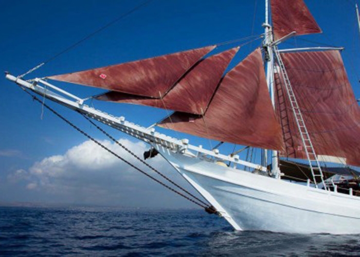 Luxury Crewed Sailing Yacht Phinisi 40 KAT photo 3