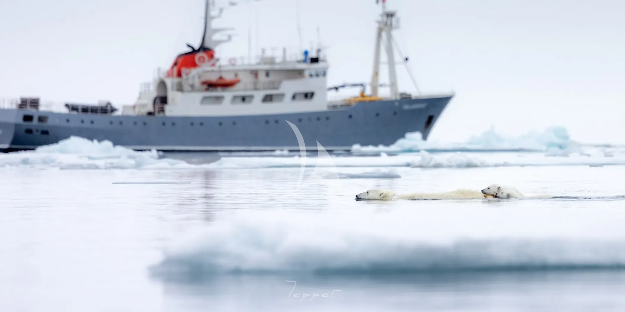 Luxury Crewed Motor Yacht POLARFRONT photo 3