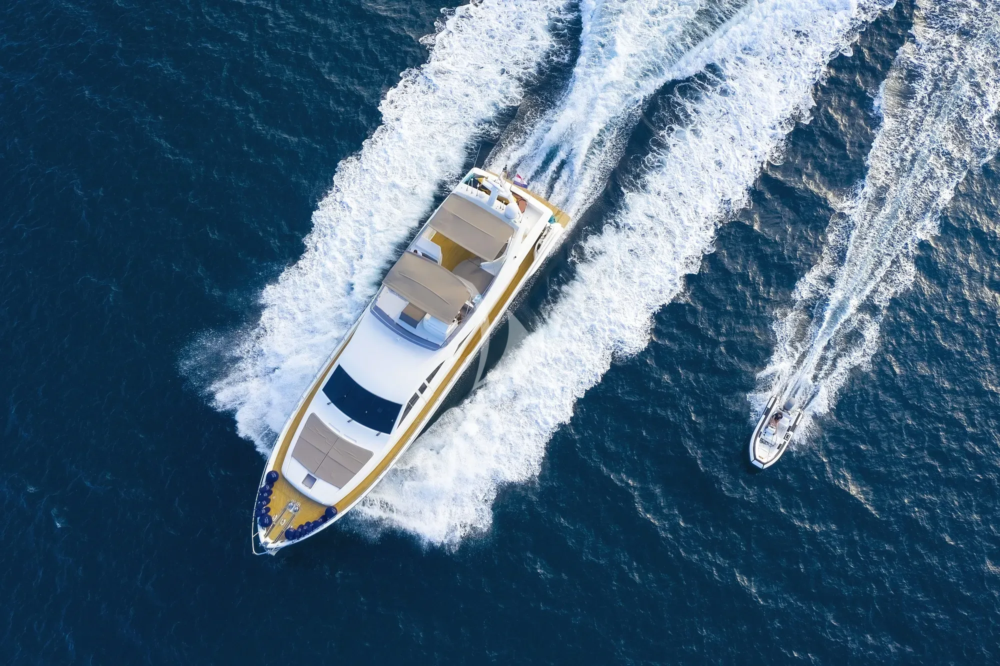 Luxury Crewed Motor Yacht QUO VADIS I photo 4