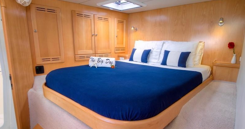 Luxury Crewed Catamaran THE BIG DOG photo 5