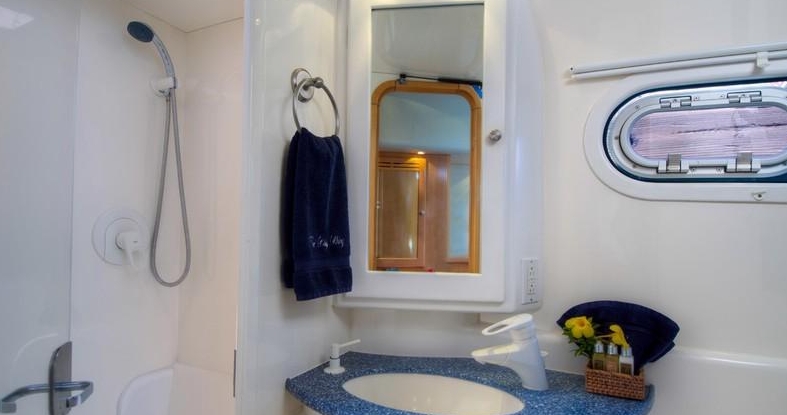 Luxury Crewed Catamaran THE BIG DOG photo 8